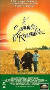A Summer to Remember movie poster